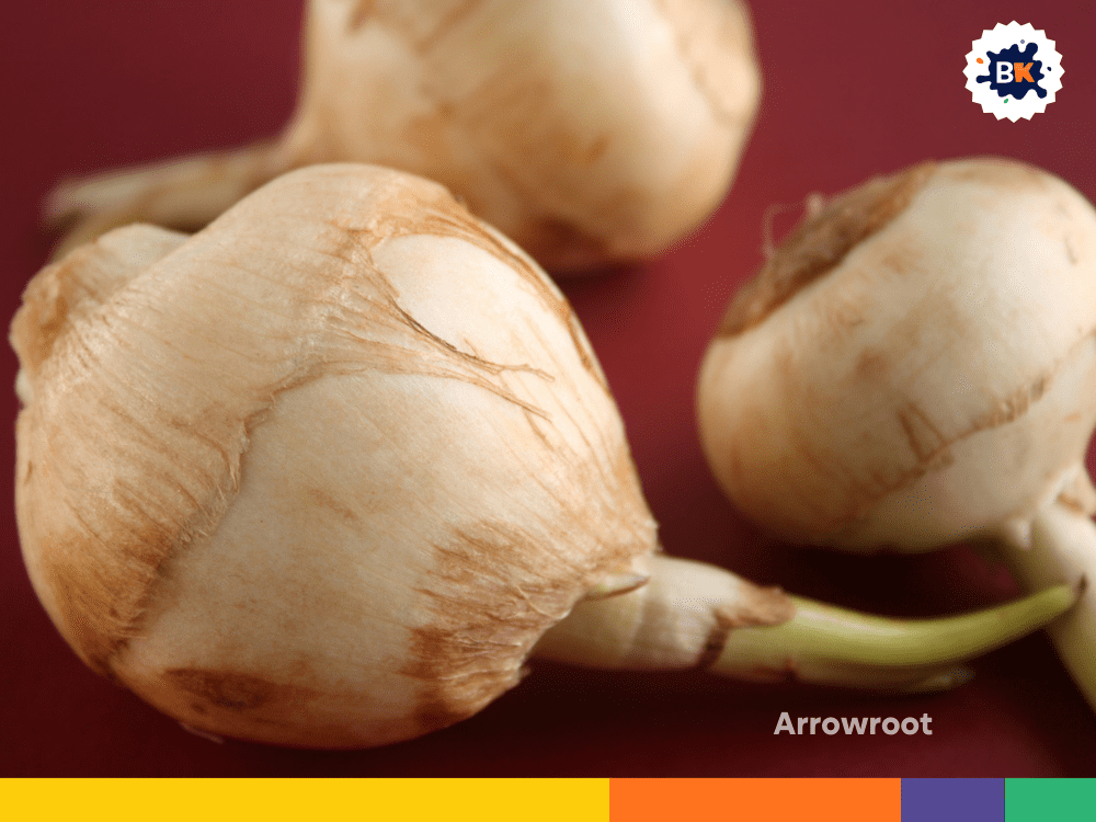 Arrowroot Arrowroot