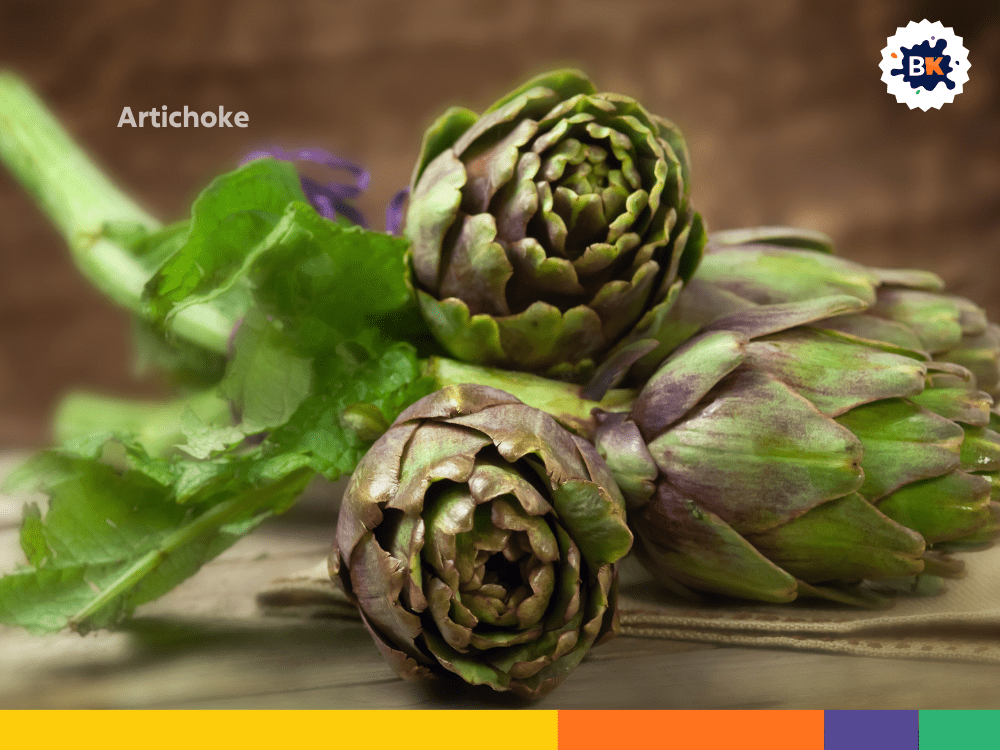 Artichoke Artichoke