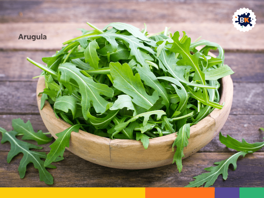 Arugula Arugula