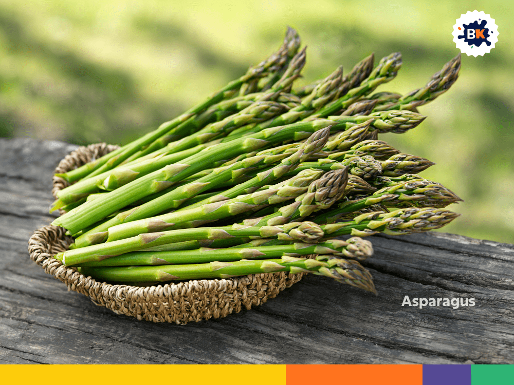 Asparagus Asparagus