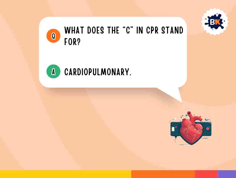 Best Safety Trivia Questions For Kids