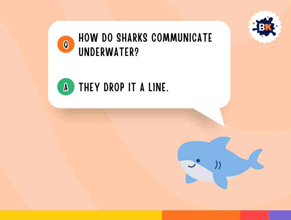 Best Shark Riddles For Kids 