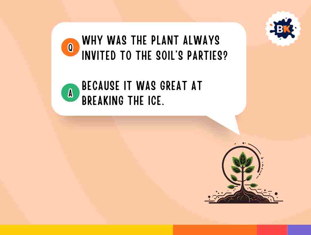 Best Soil Riddles For Kids