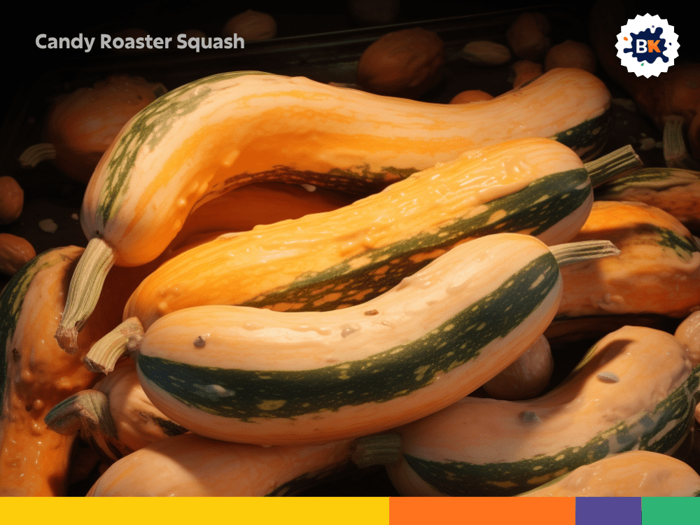 Candy Roaster Squash Candy Roaster Squash