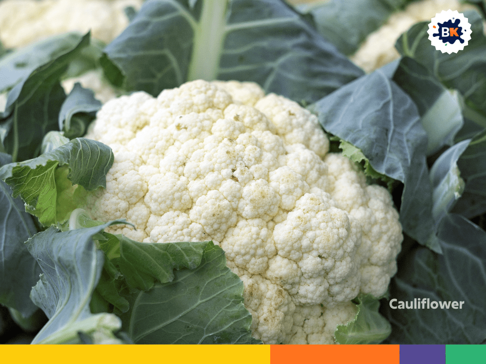 Cauliflower Cauliflower
