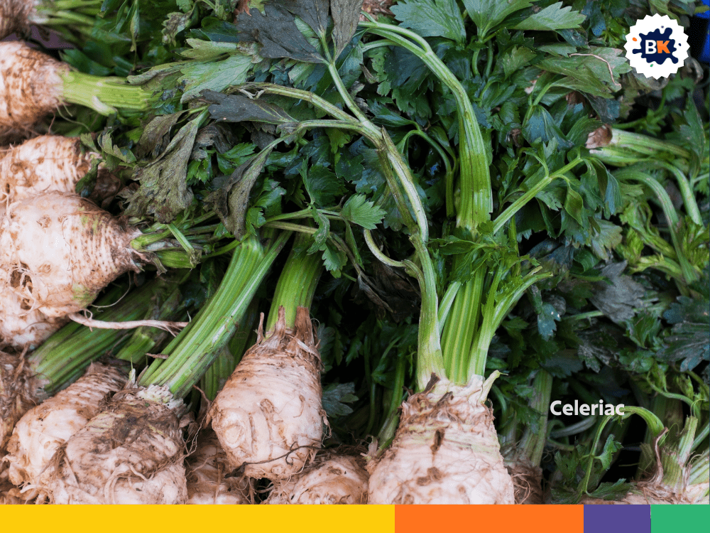Celeriac Celeriac
