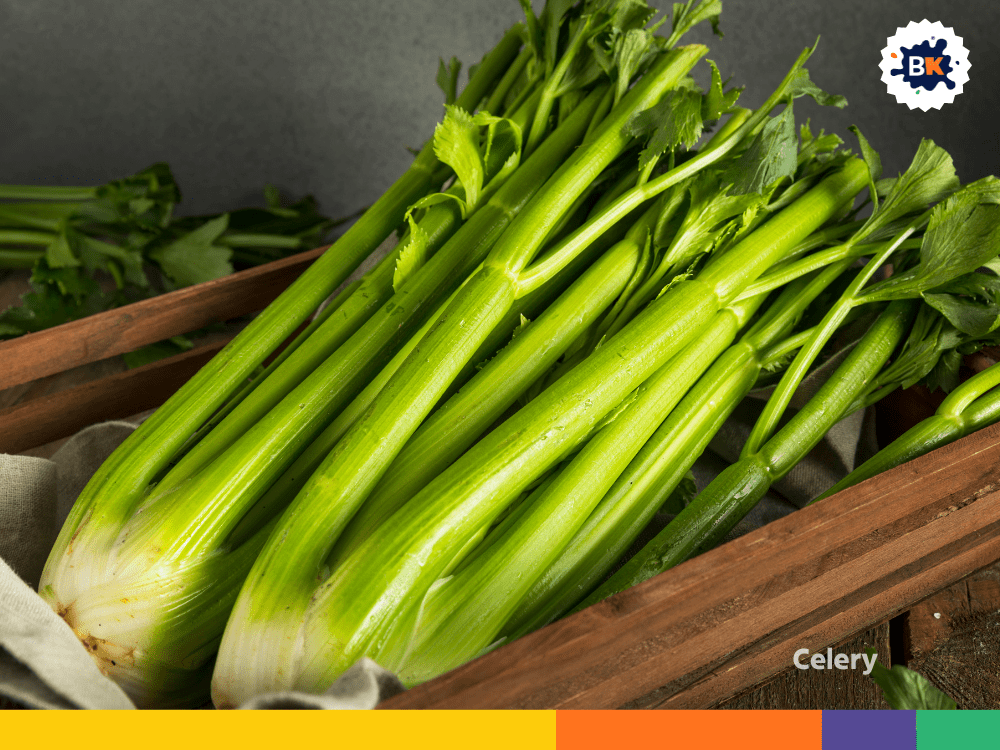 Celery Celery