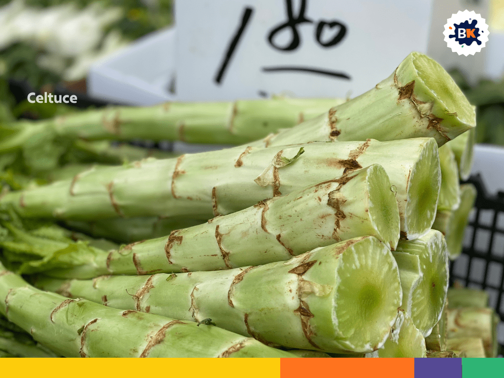 Celtuce Celtuce