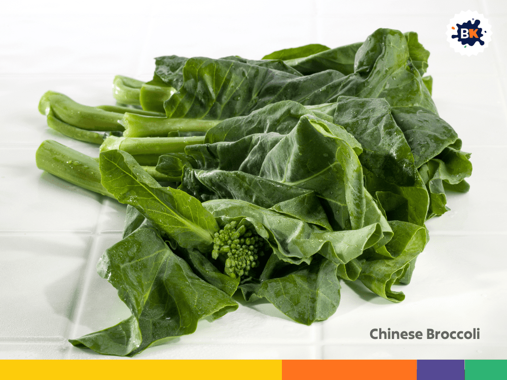 Chinese Broccoli Chinese Broccoli