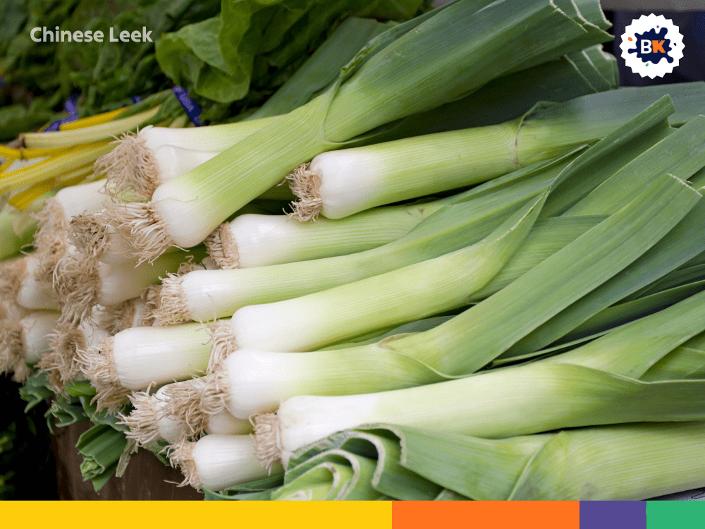 Chinese Leek Chinese Leek