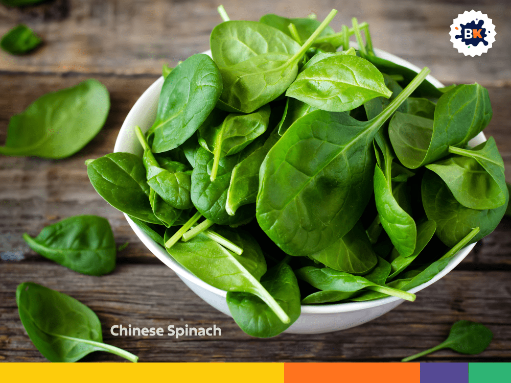 Chinese Spinach Chinese Spinach