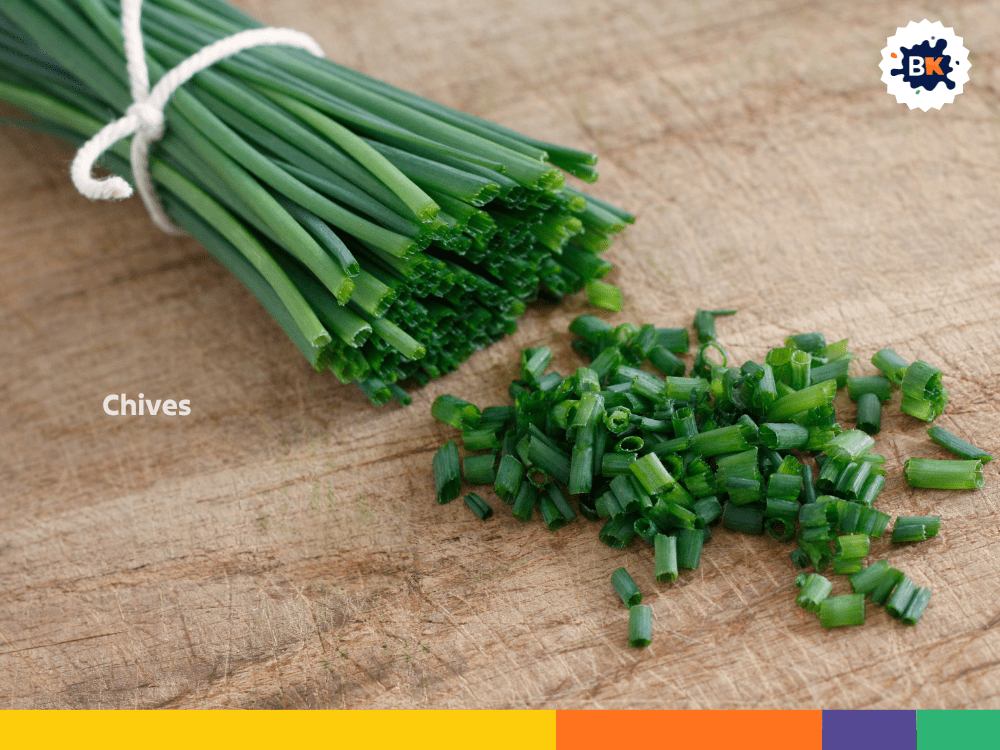 Chives Chives
