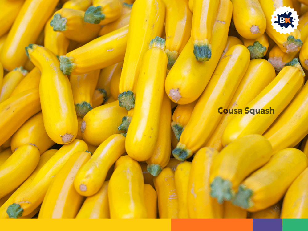 Cousa Squash Cousa Squash