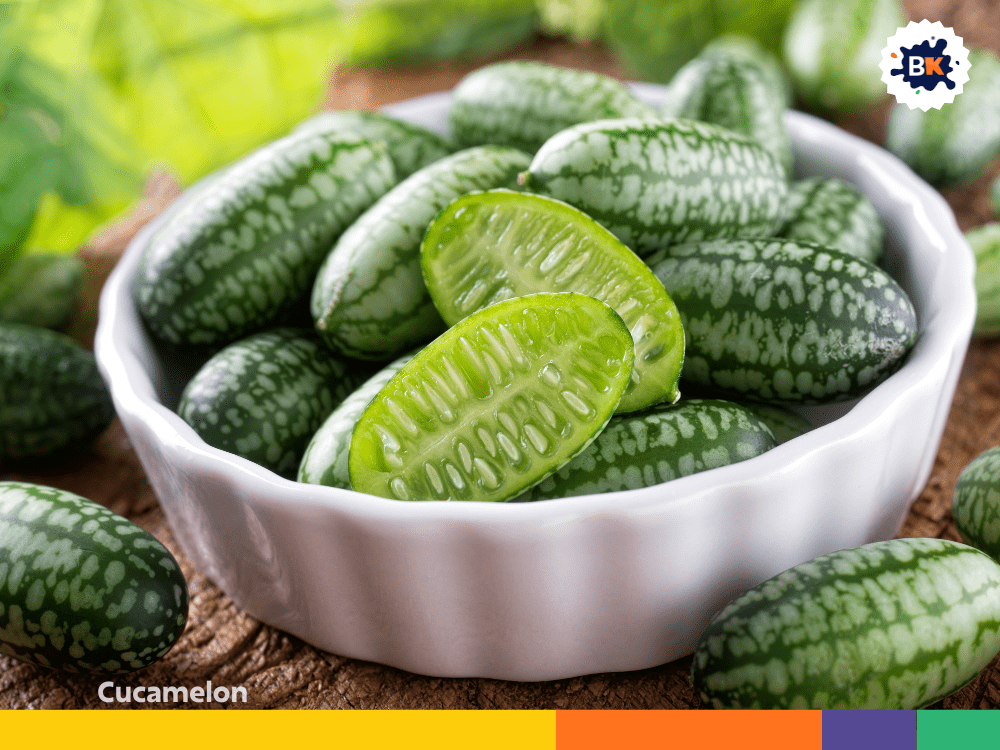 Cucamelon Cucamelon