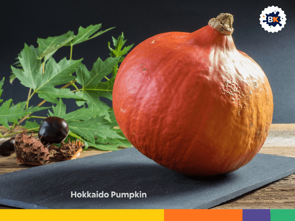 Hokkaido Pumpkin Hokkaido Pumpkin