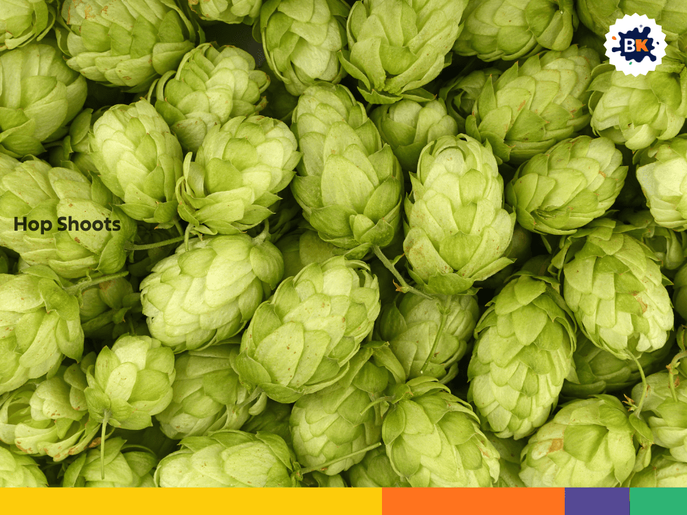 Hop Shoots Hop Shoots