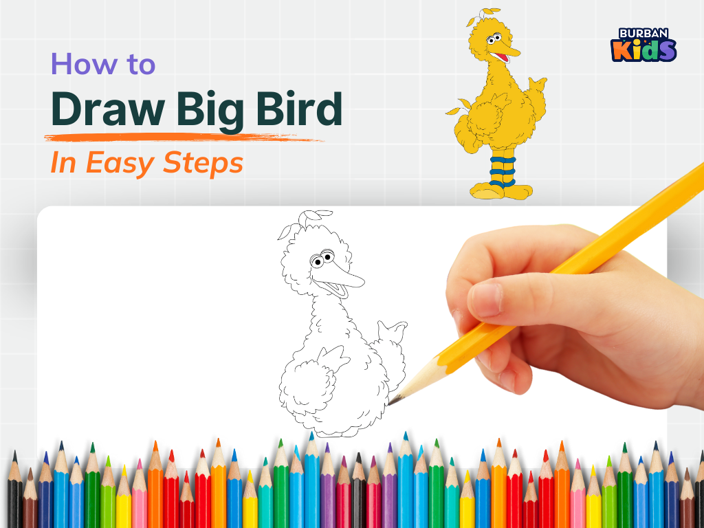 How to Draw Big Bird