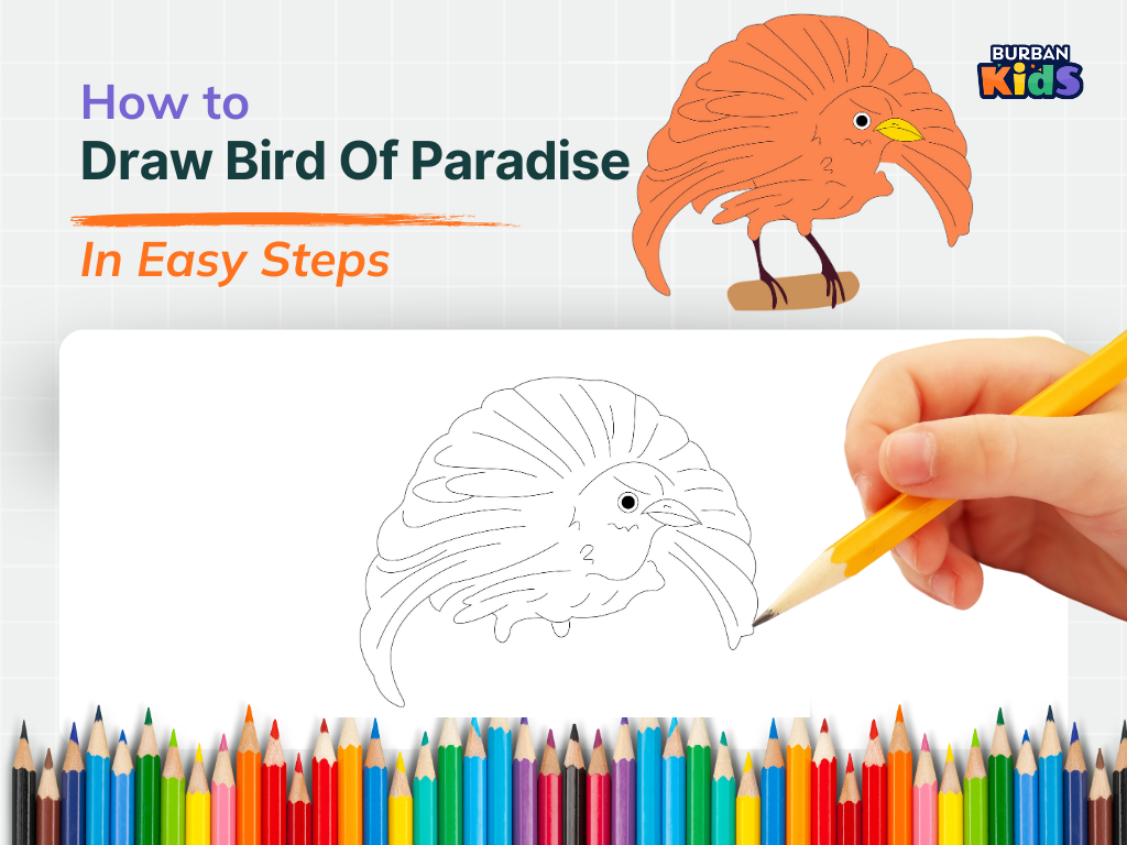 How to Draw Bird of Paradise