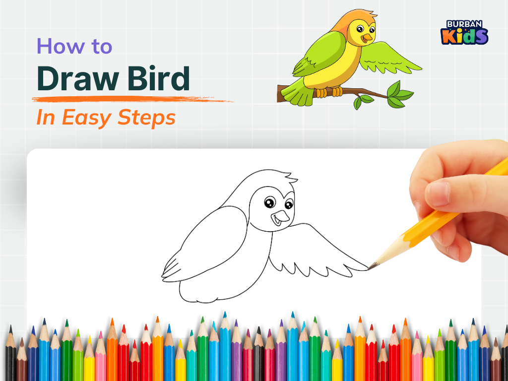 How to Draw Bird