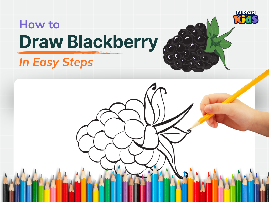 How to Draw Blackberry