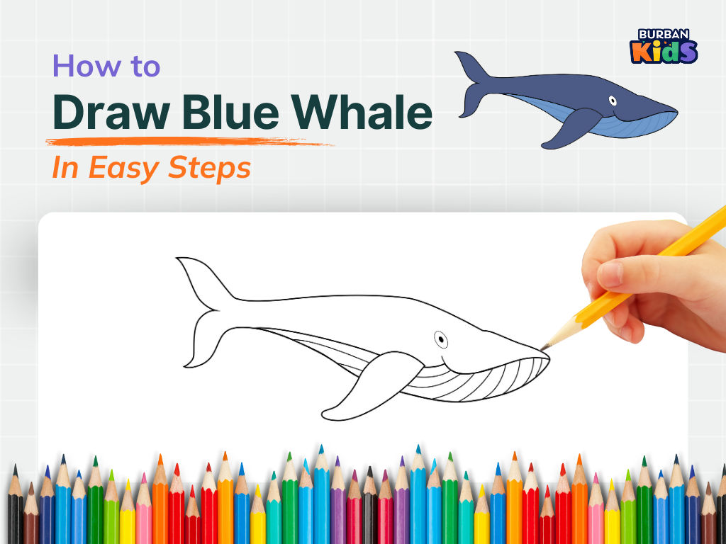 How to Draw Blue Whale