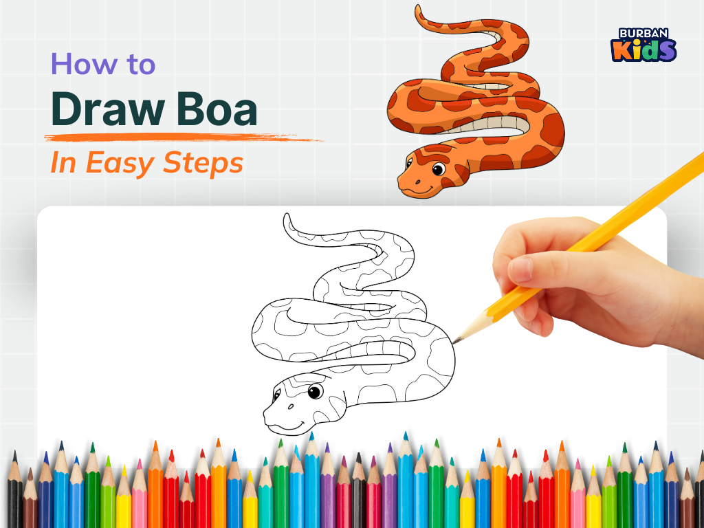 How to Draw Boa