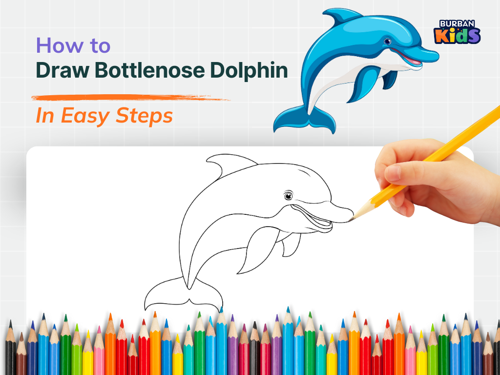 How to Draw Bottlenose Dolphin