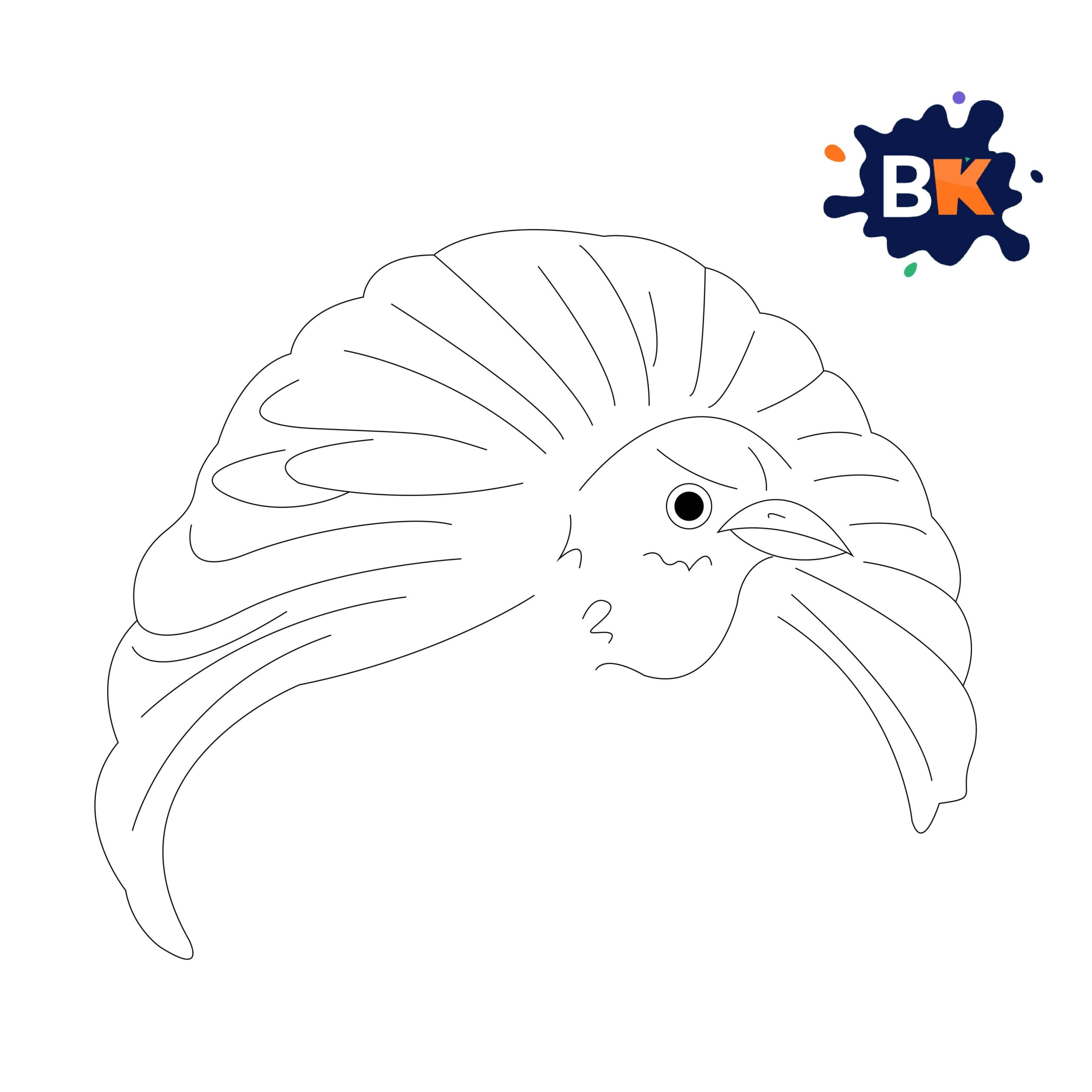 How to Draw a Bird of Paradise Step 6 How to Draw a Bird of Paradise Step 6