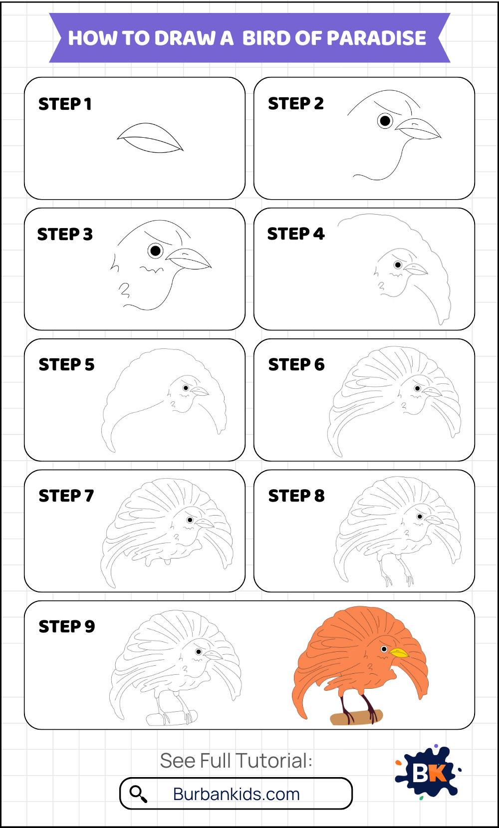 How to Draw a Bird of Paradise How to Draw a Bird of Paradise