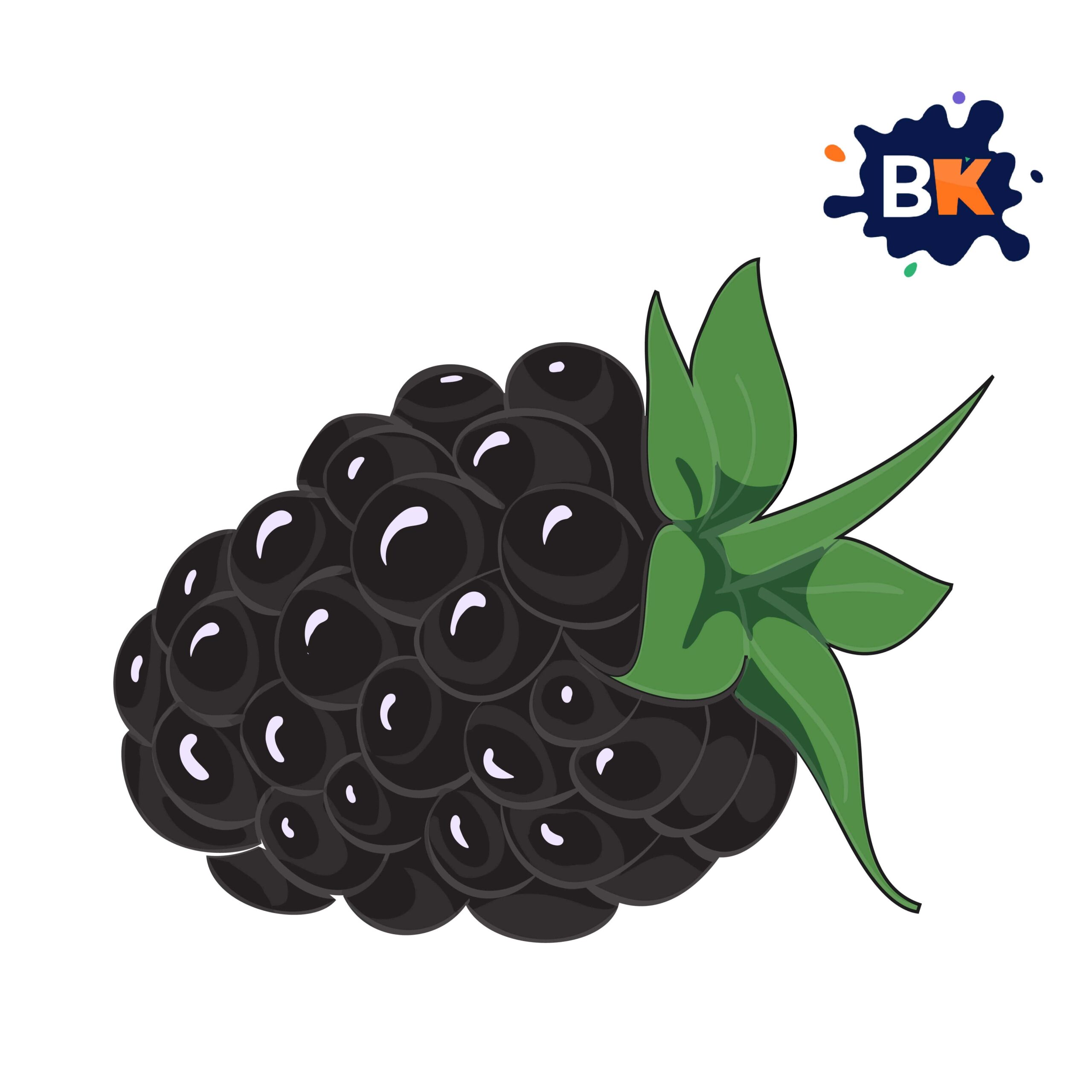 How to Draw a Blackberry Step 10 How to Draw a Blackberry Step 10