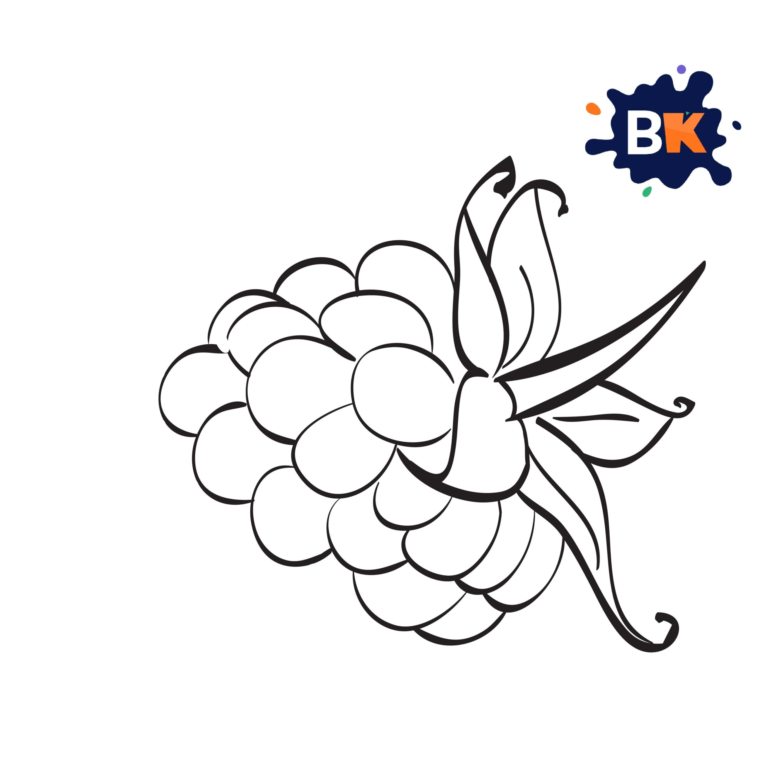 How to Draw a Blackberry Step 7 How to Draw a Blackberry Step 7