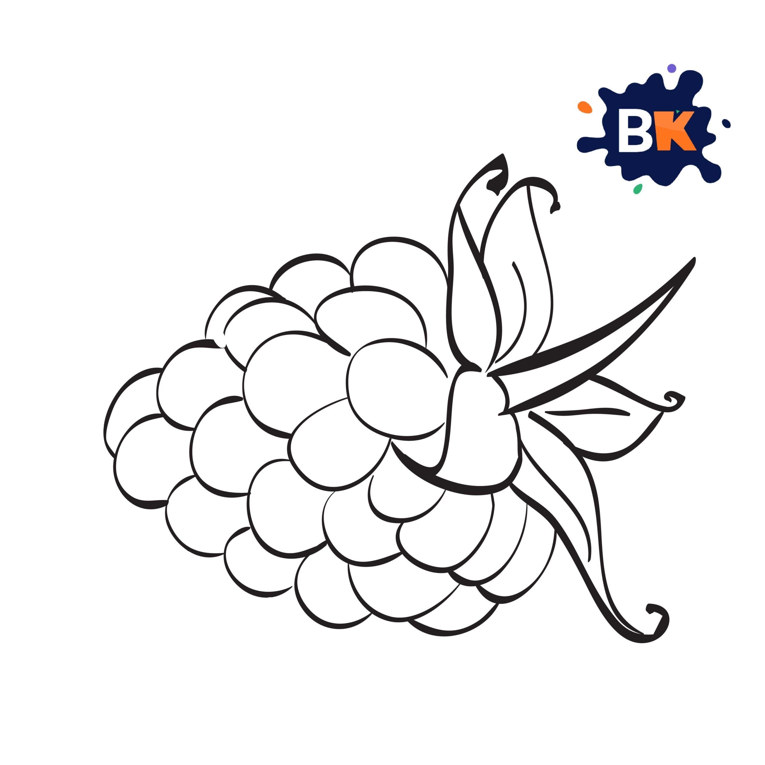 How to Draw a Blackberry Step 8 How to Draw a Blackberry Step 8