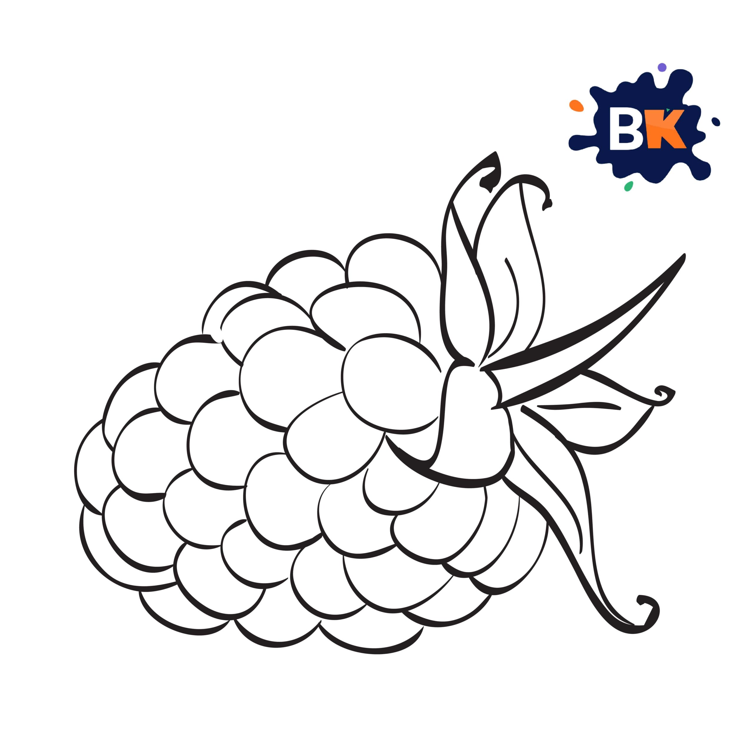 How to Draw a Blackberry Step 9 How to Draw a Blackberry Step 9
