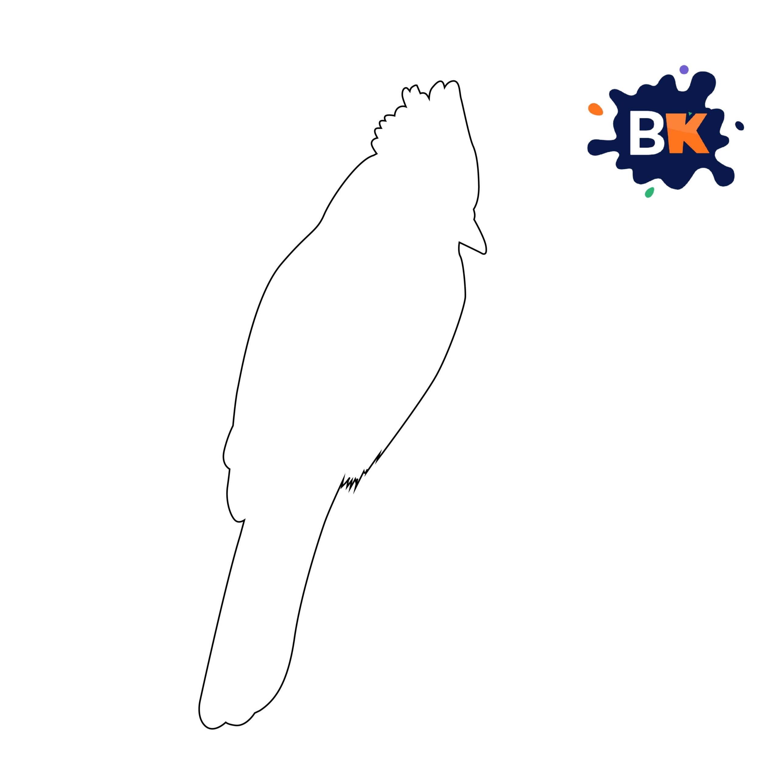 How to Draw a Blue Jay Step 1 How to Draw a Blue Jay Step 1