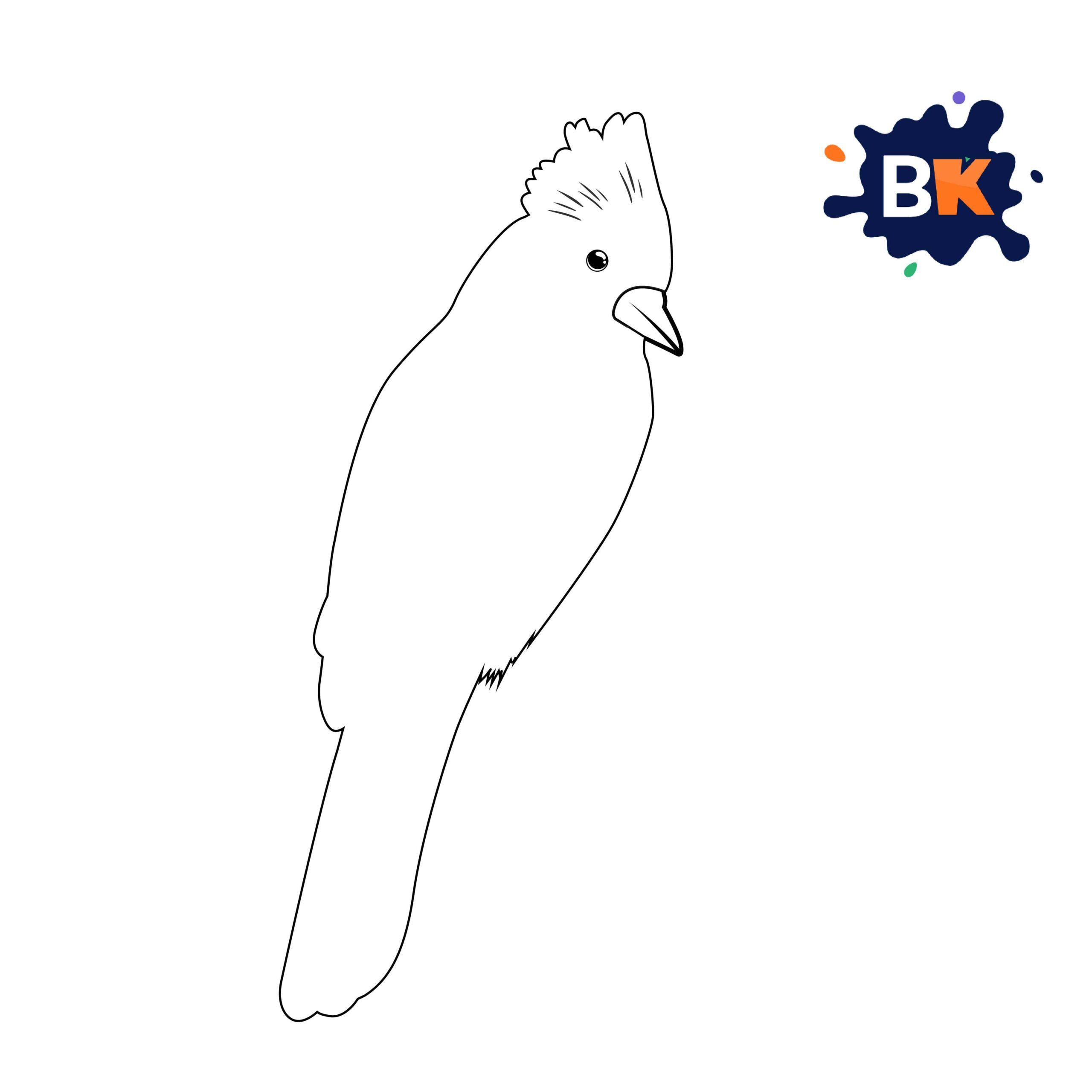 How to Draw a Blue Jay Step 2 How to Draw a Blue Jay Step 2