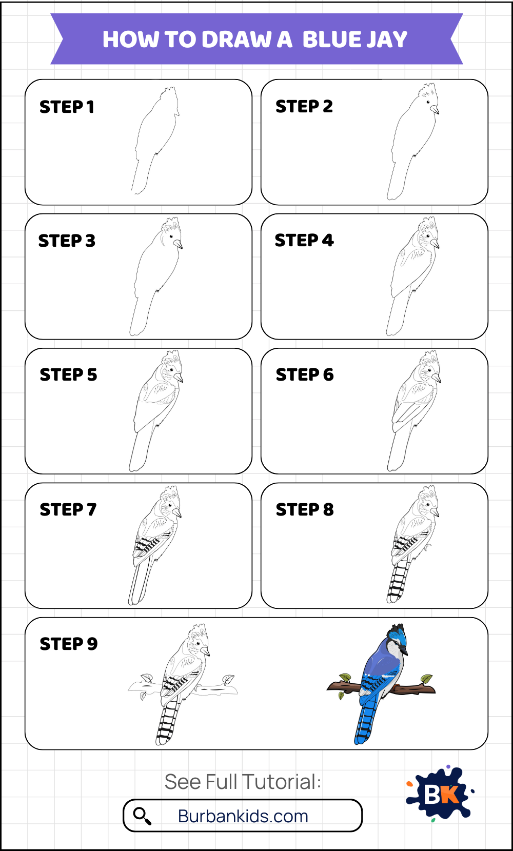 How to Draw a Blue Jay How to Draw a Blue Jay