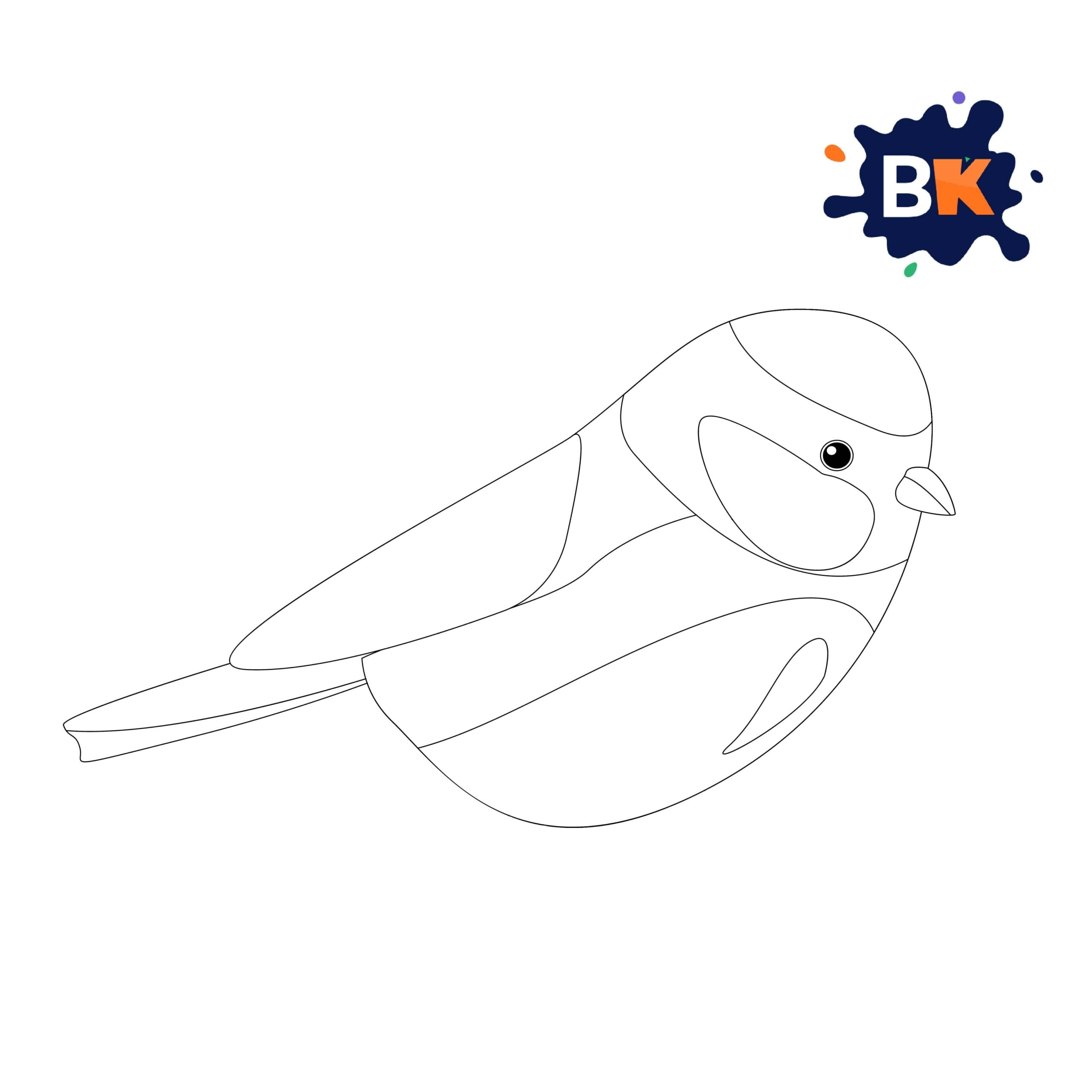 How to Draw a Blue Tit Step 7 How to Draw a Blue Tit Step 7
