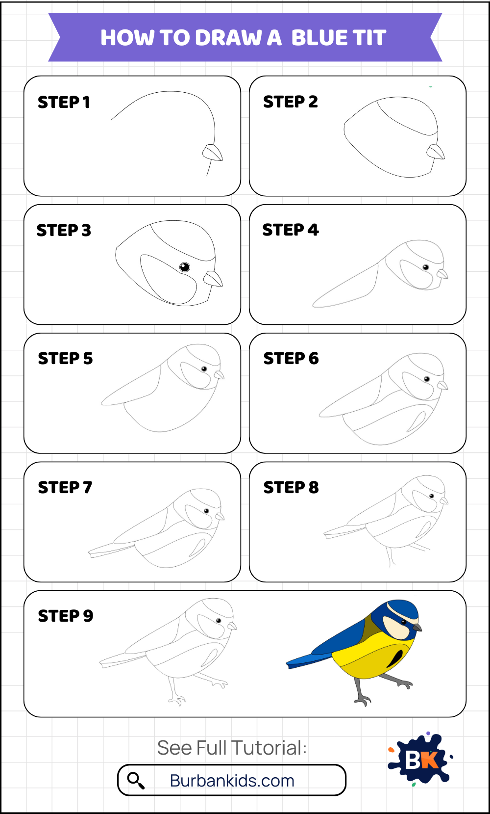 How to Draw a Blue Tit How to Draw a Blue Tit
