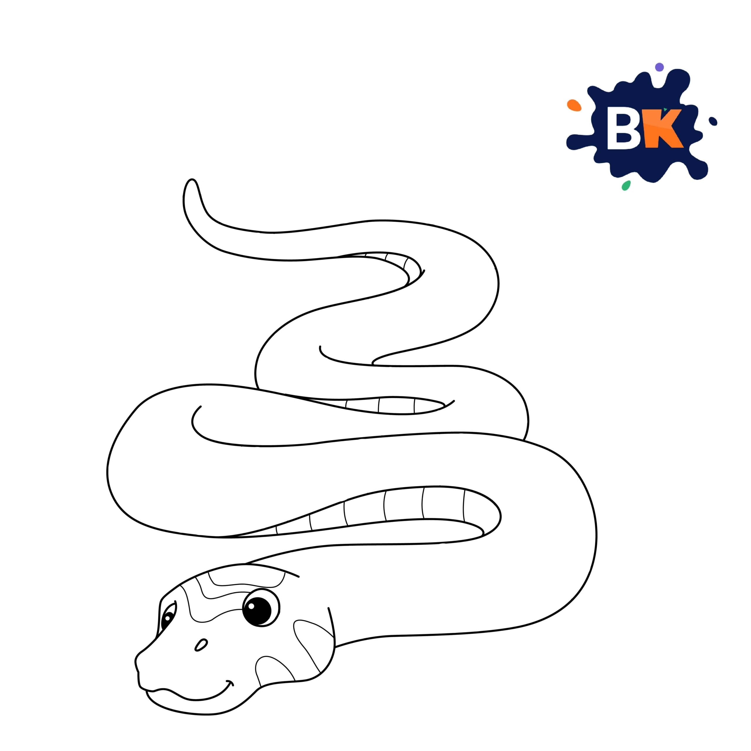 How to Draw a Boa Step 7 How to Draw a Boa Step 7