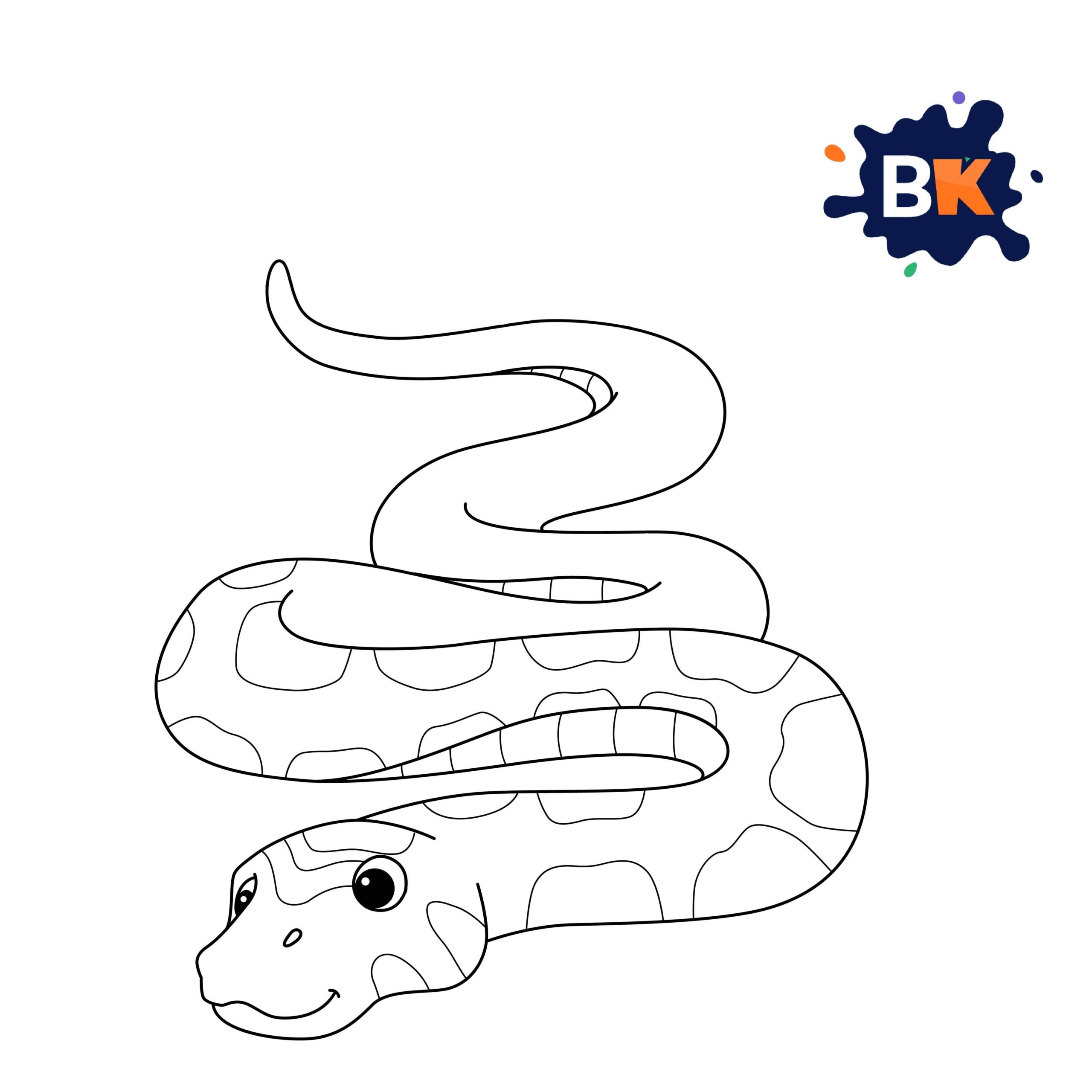 How to Draw a Boa Step 8 How to Draw a Boa Step 8