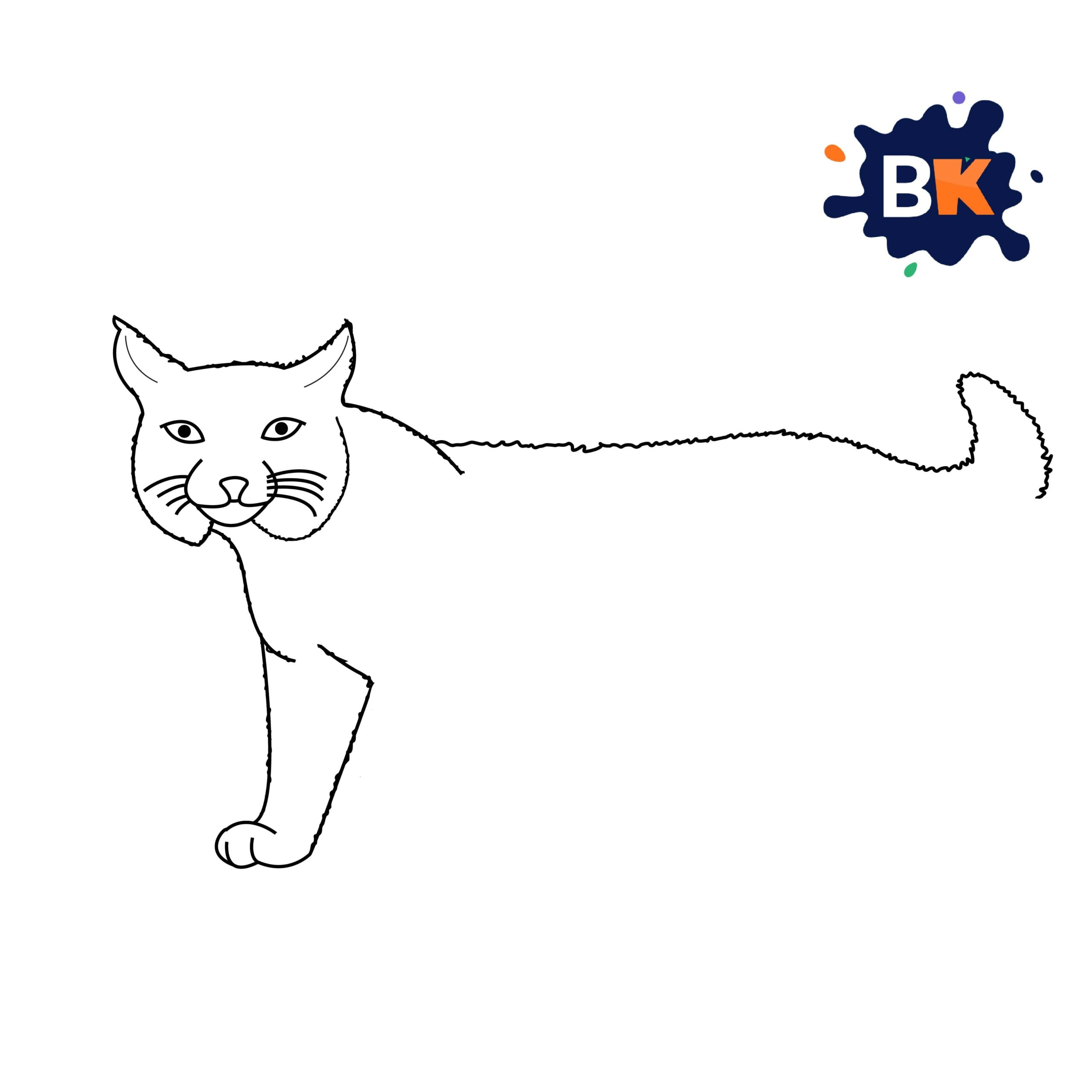 How to Draw a Bobcat Step 5 How to Draw a Bobcat Step 5