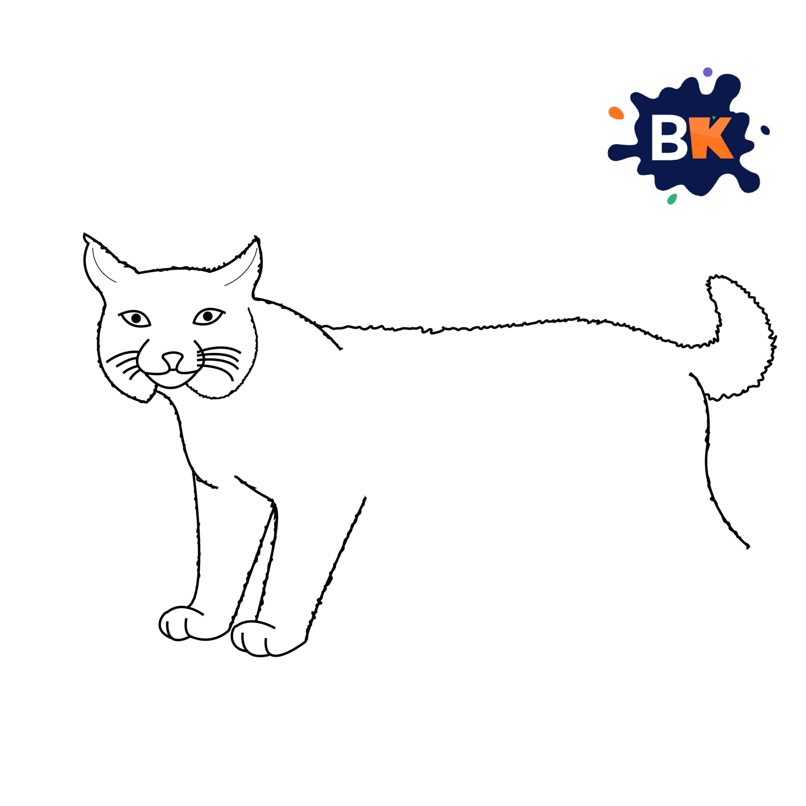 How to Draw a Bobcat Step 7 How to Draw a Bobcat Step 7