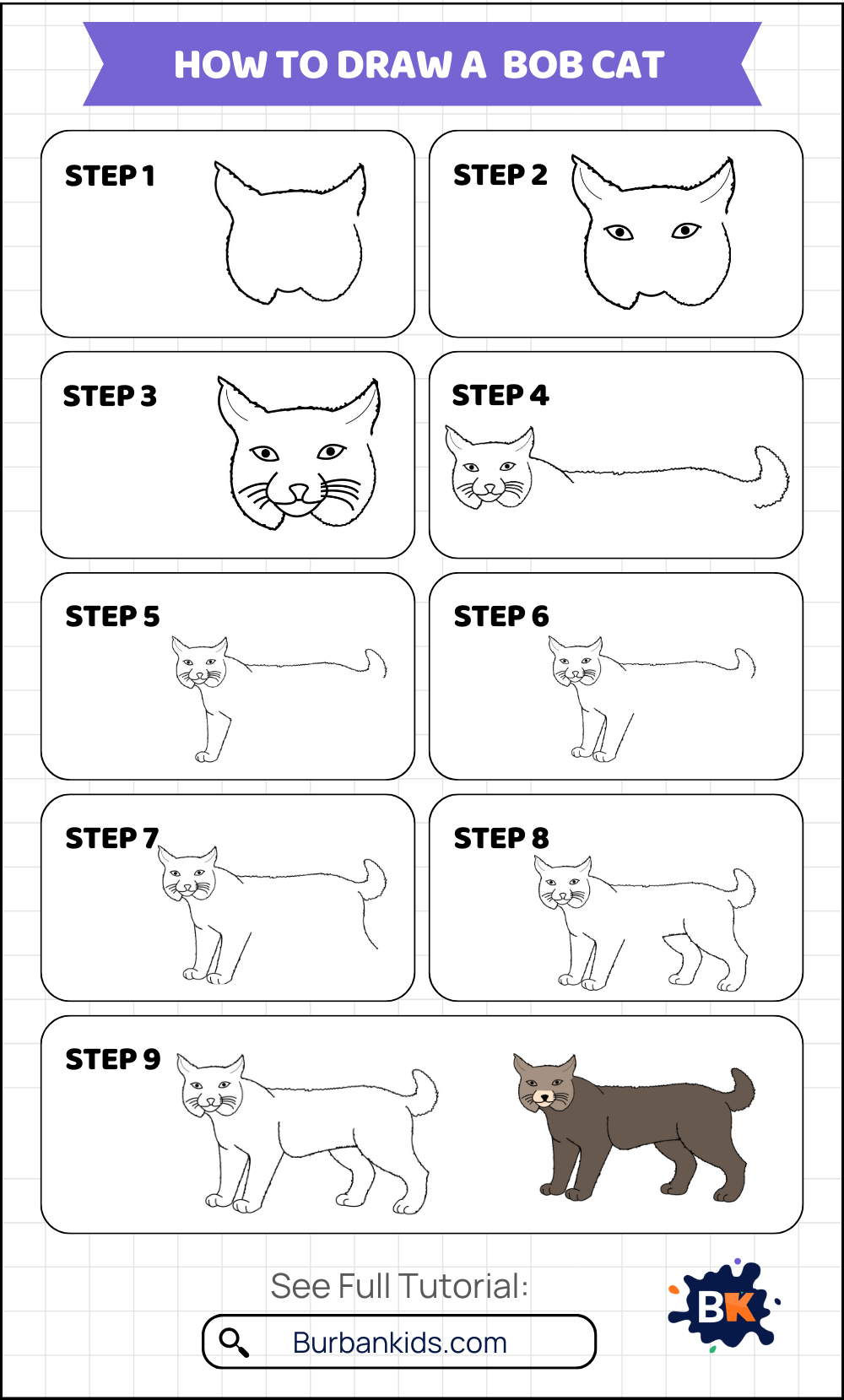 How to Draw a Bob Cat How to Draw a Bob Cat