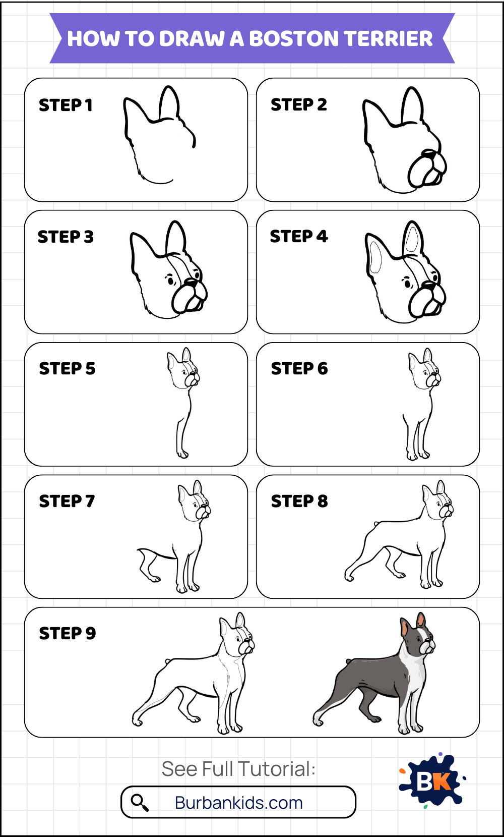 How to Draw a Boston Terrier How to Draw a Boston Terrier