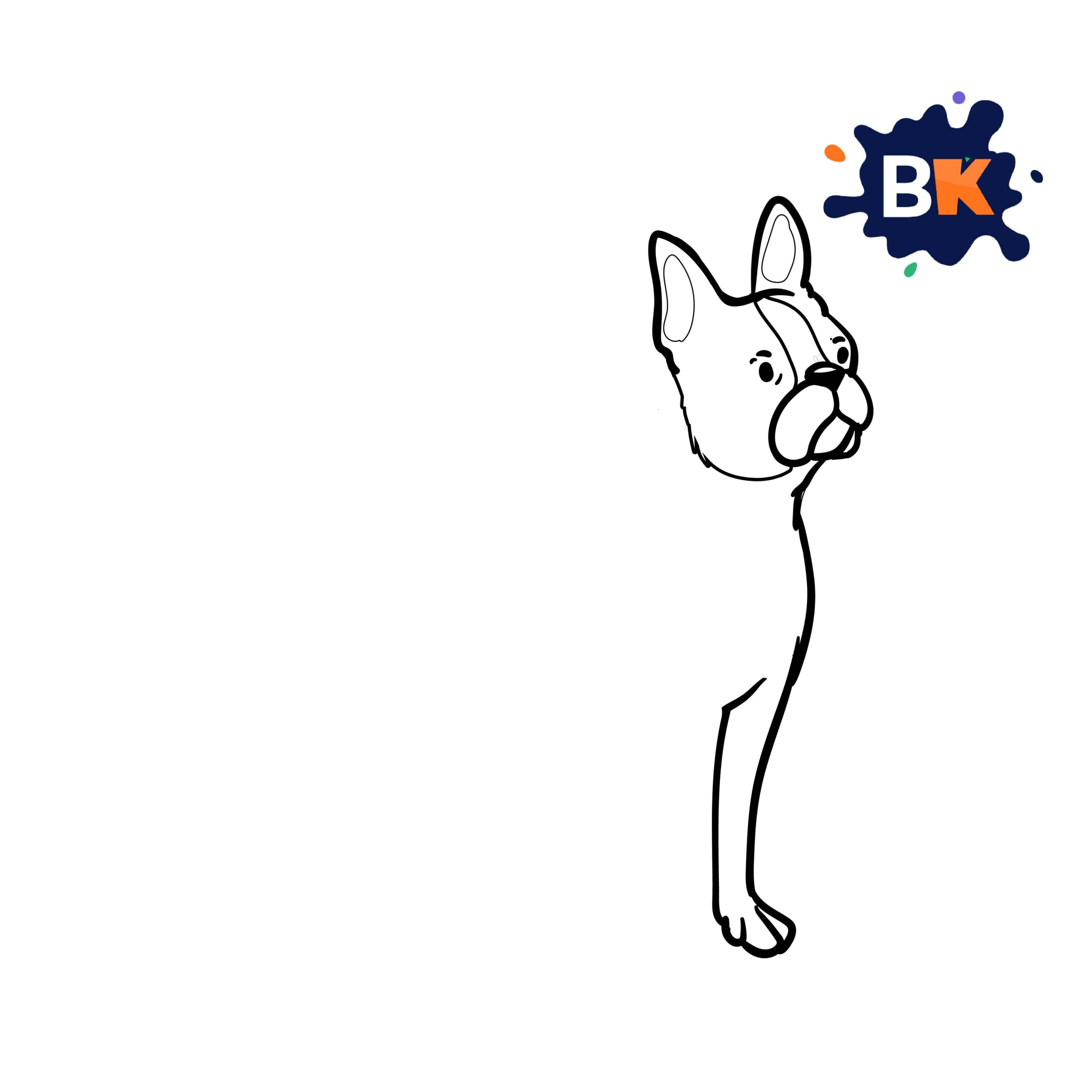 How to Draw a Boston terrier Step 5 How to Draw a Boston terrier Step 5