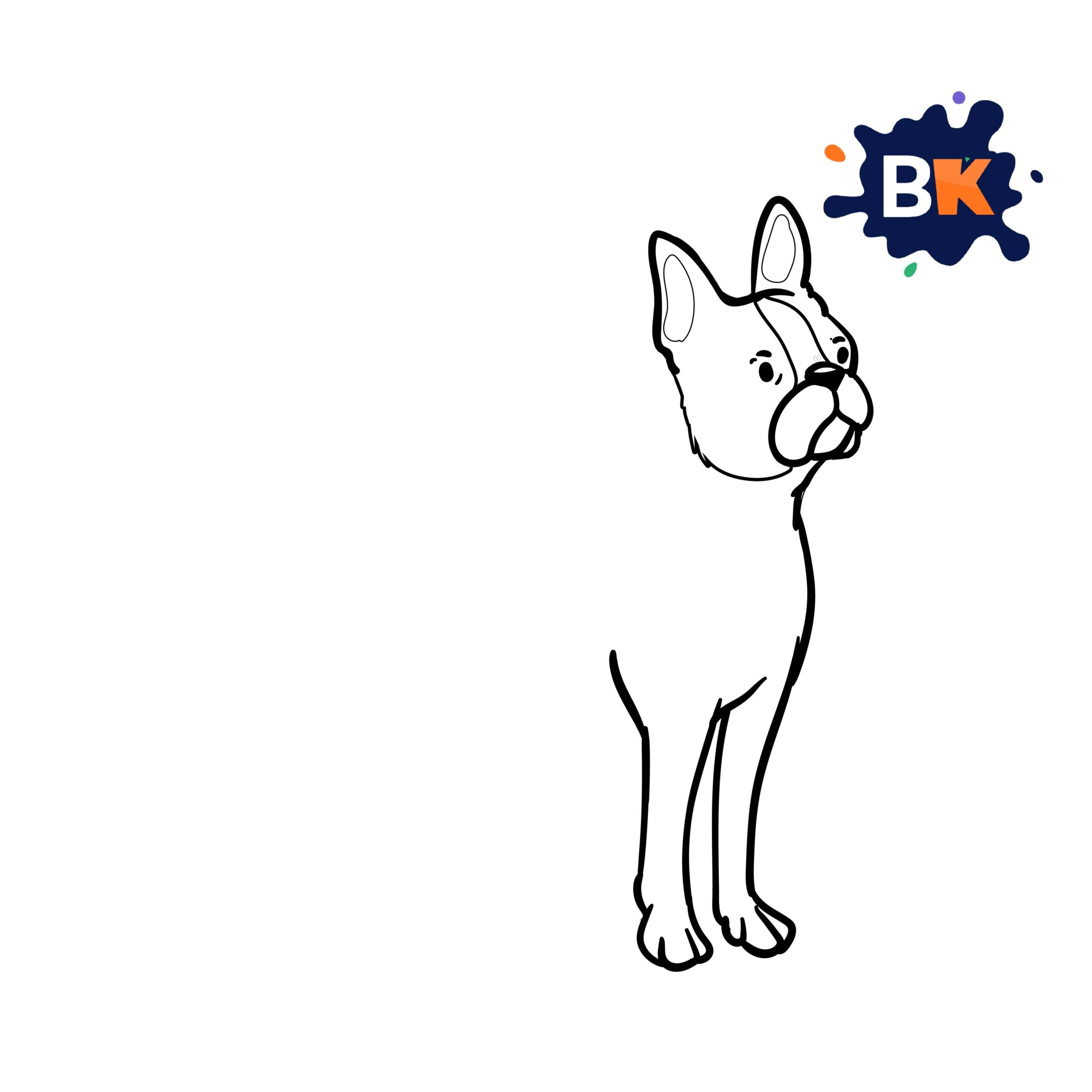 How to Draw a Boston terrier Step 6 How to Draw a Boston terrier Step 6