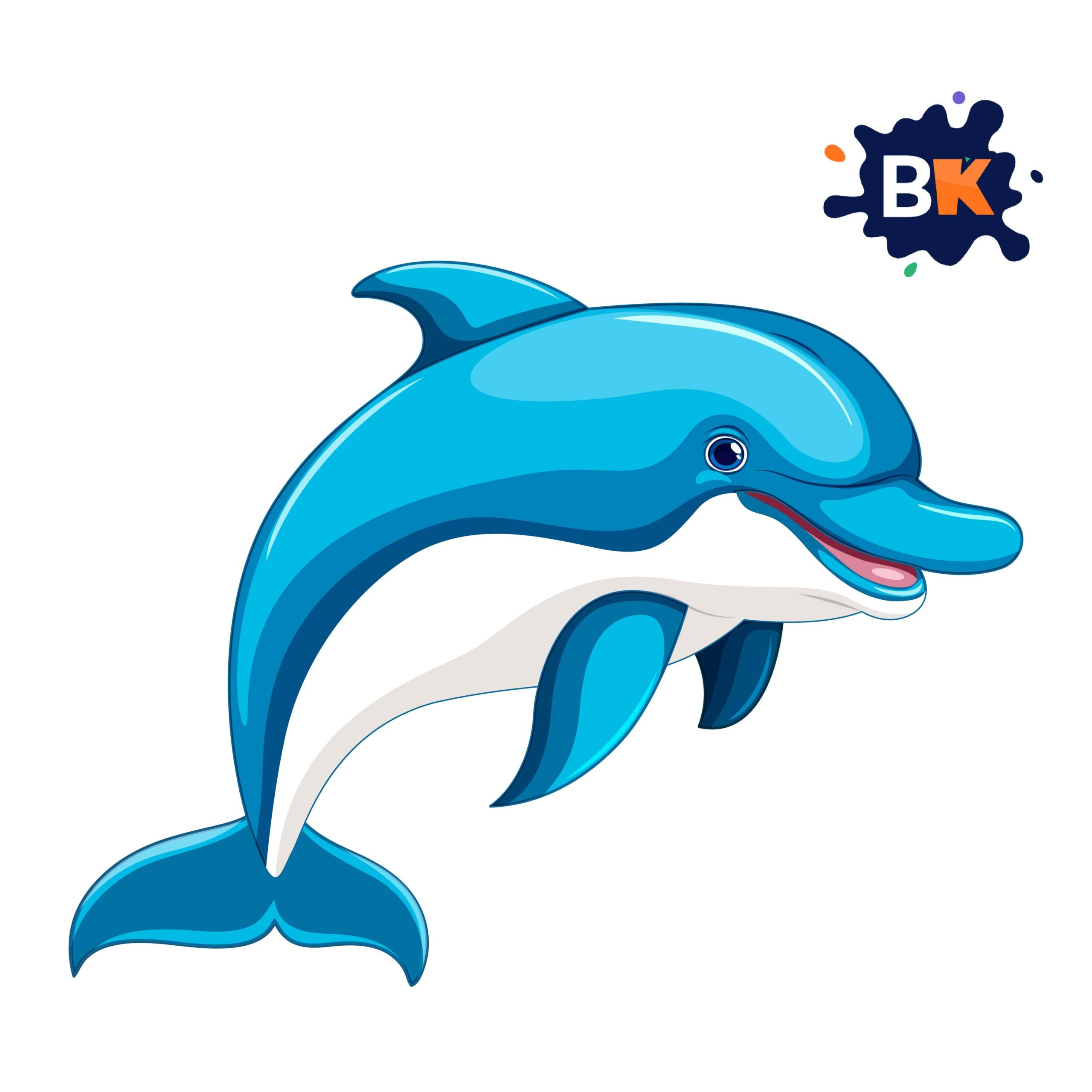 How to Draw a Bottlenose Dolphin 10 How to Draw a Bottlenose Dolphin 10