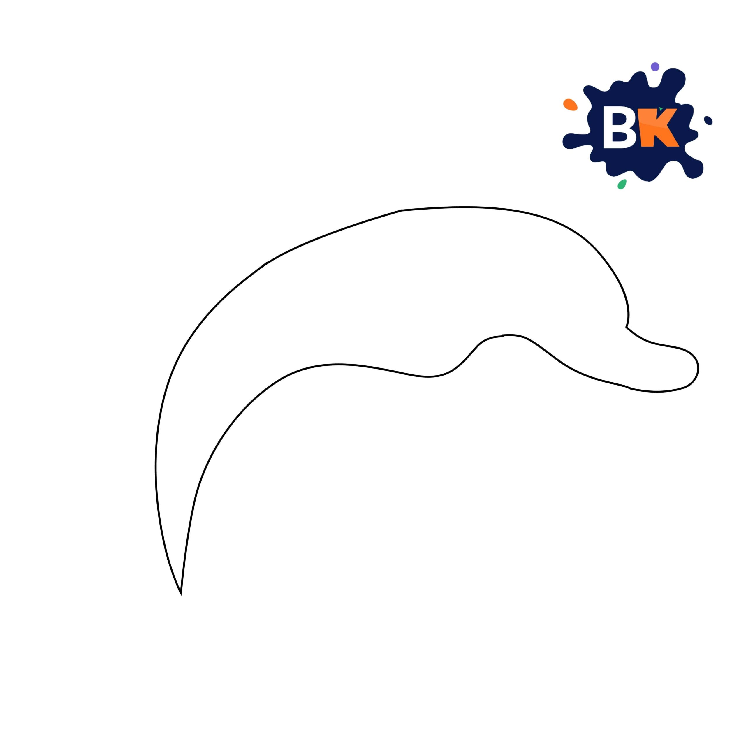 How to Draw a Bottlenose Dolphin 2 How to Draw a Bottlenose Dolphin 2