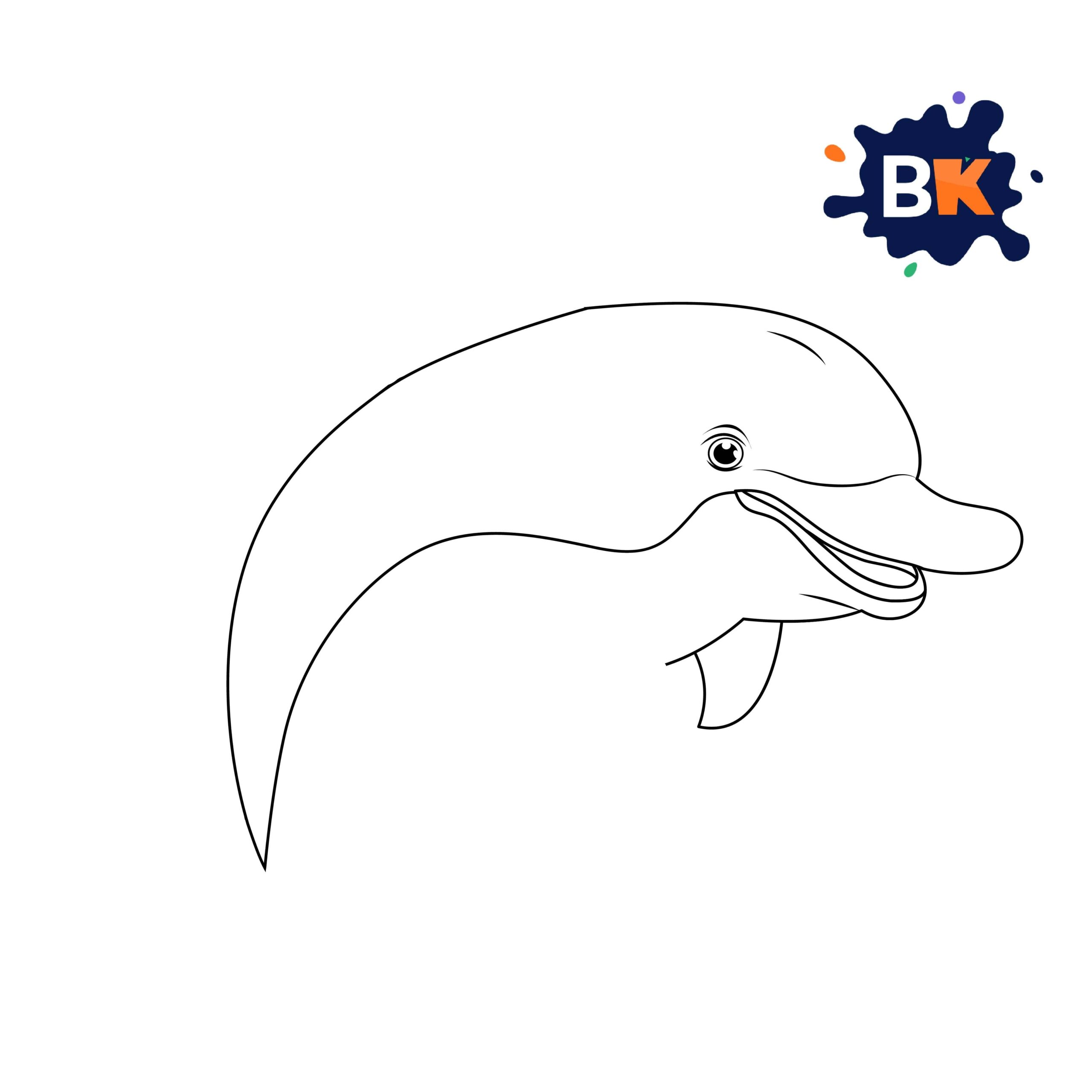 How to Draw a Bottlenose Dolphin 5 How to Draw a Bottlenose Dolphin 5