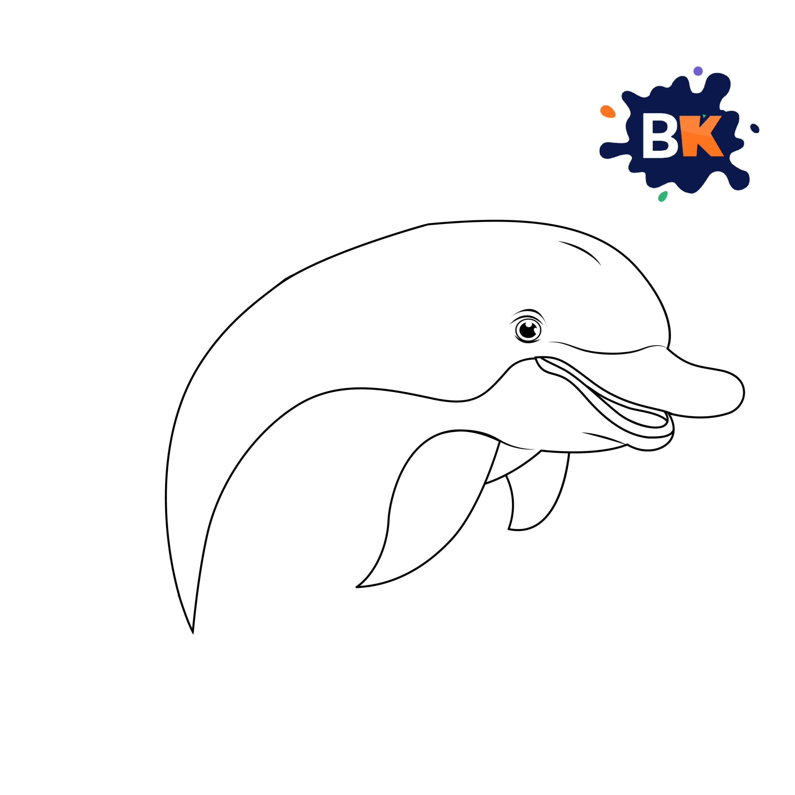 How to Draw a Bottlenose Dolphin 6 How to Draw a Bottlenose Dolphin 6